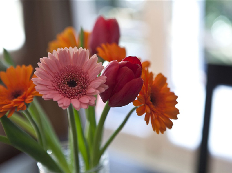 Flower Arrangements